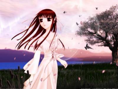aimer